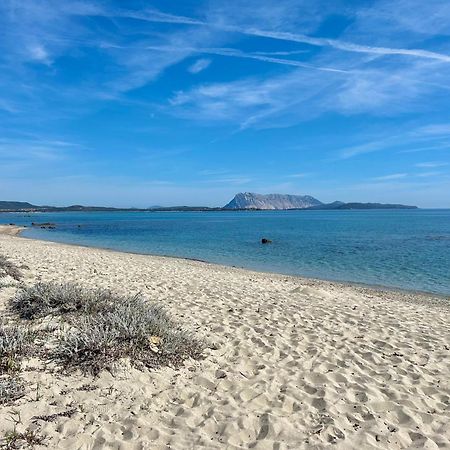 Iss Travel, San Teodoro 1 - 100 M From Cala D'Ambra Beach المظهر الخارجي الصورة
