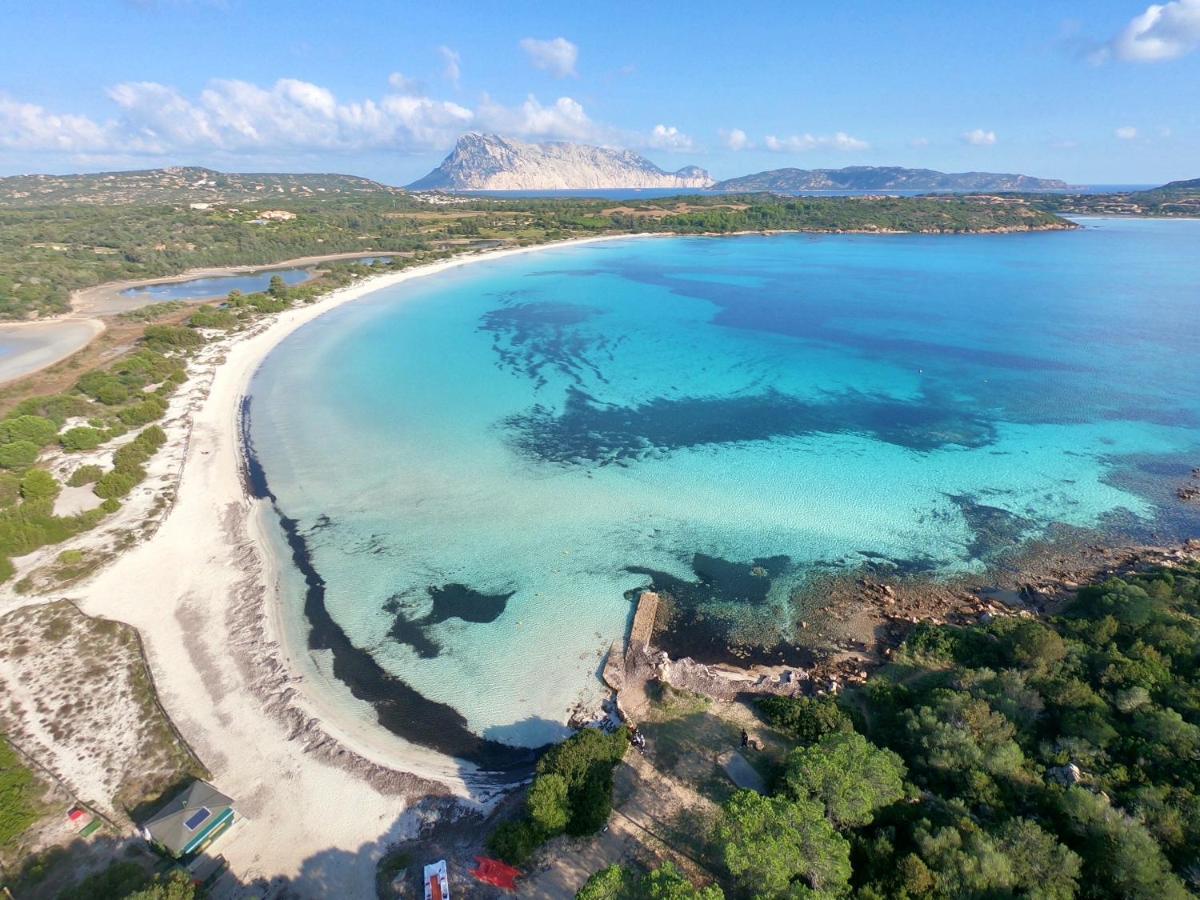 Iss Travel, San Teodoro 1 - 100 M From Cala D'Ambra Beach المظهر الخارجي الصورة